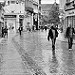 Miniature Photo précédente:
