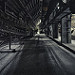 Miniature Photo suivante: