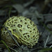 Miniature Photo suivante: