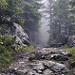 Miniature Photo suivante: