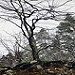 Miniature Photo suivante: