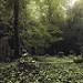 Miniature Photo précédente: DR Cemetery (DEU)
