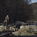 Miniature Photo précédente: Les Fonds de Quarreux