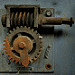 Miniature Photo suivante: A feather of pigeon on the rust