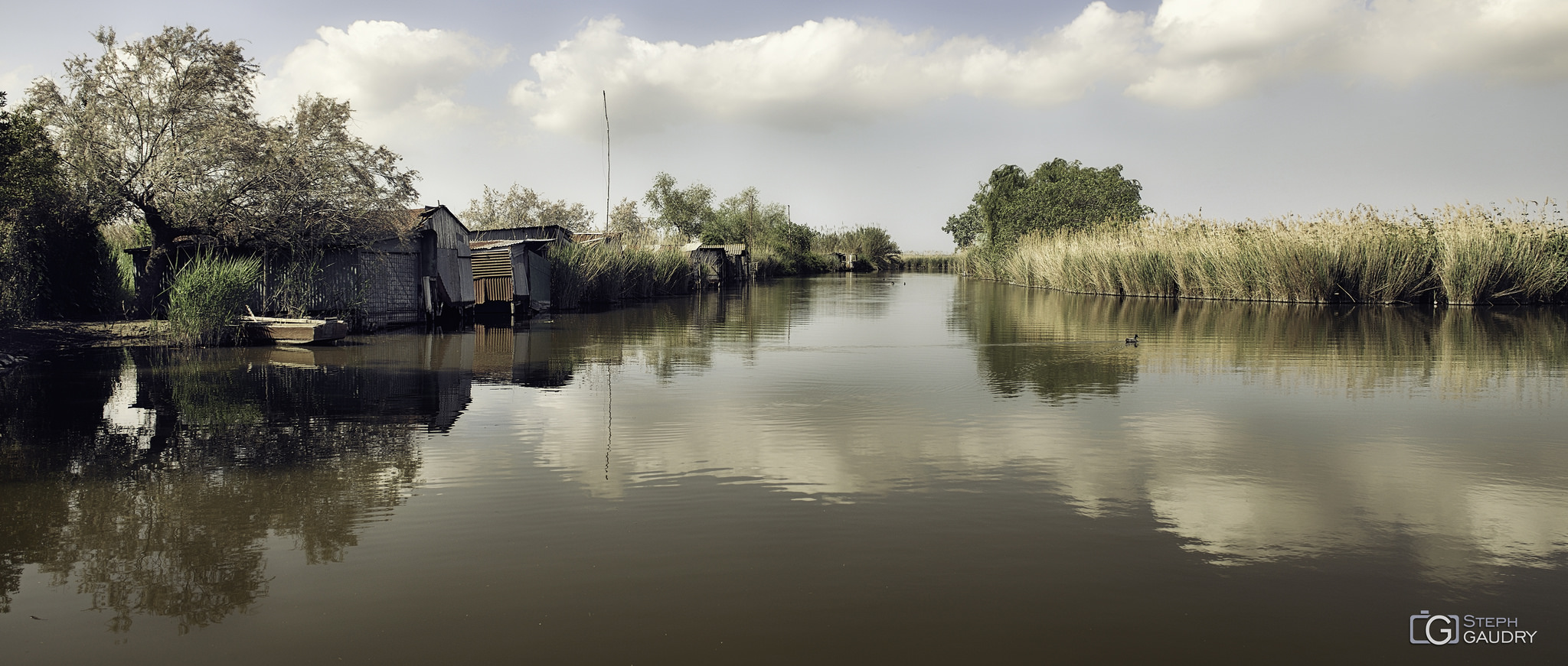 Italie / Lago di Massaciuccoli  (del Parco naturale di Migliarino)