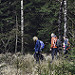 Miniature Photo précédente: