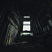 Miniature Photo suivante: ECVB, alone in the dark