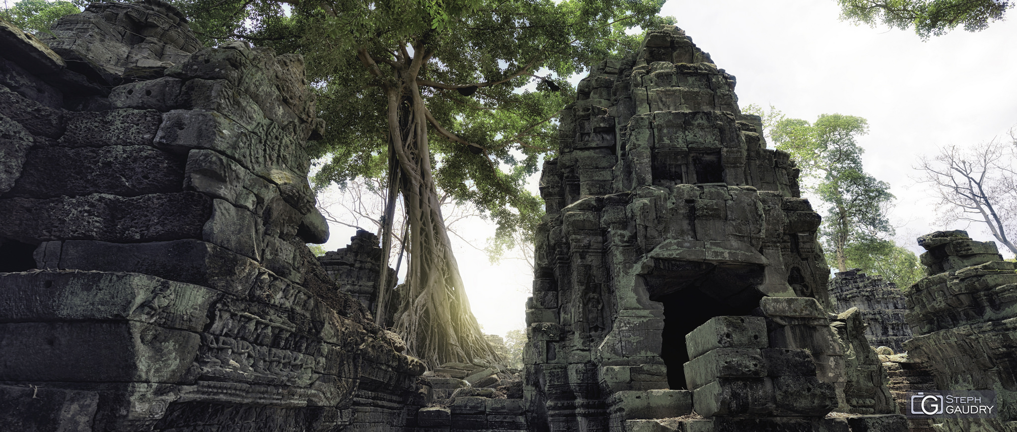 Ta Prohm [Cliquez pour lancer le diaporama]