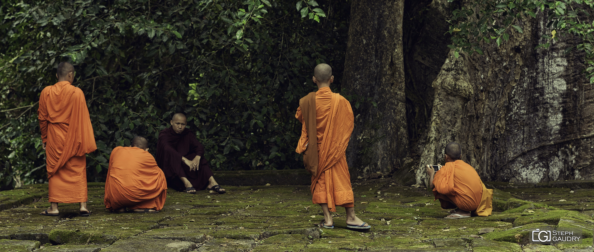 Moines - Siem Reap [Klik om de diavoorstelling te starten]