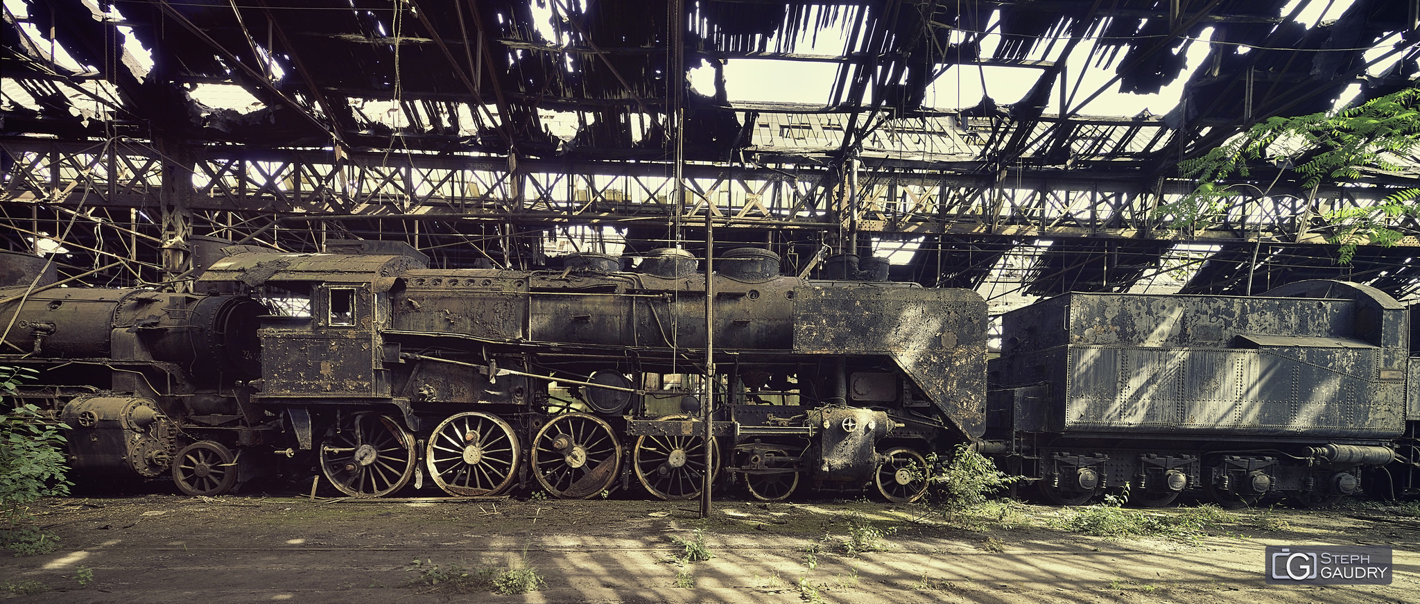 Abandoned steam train [Click to start slideshow]