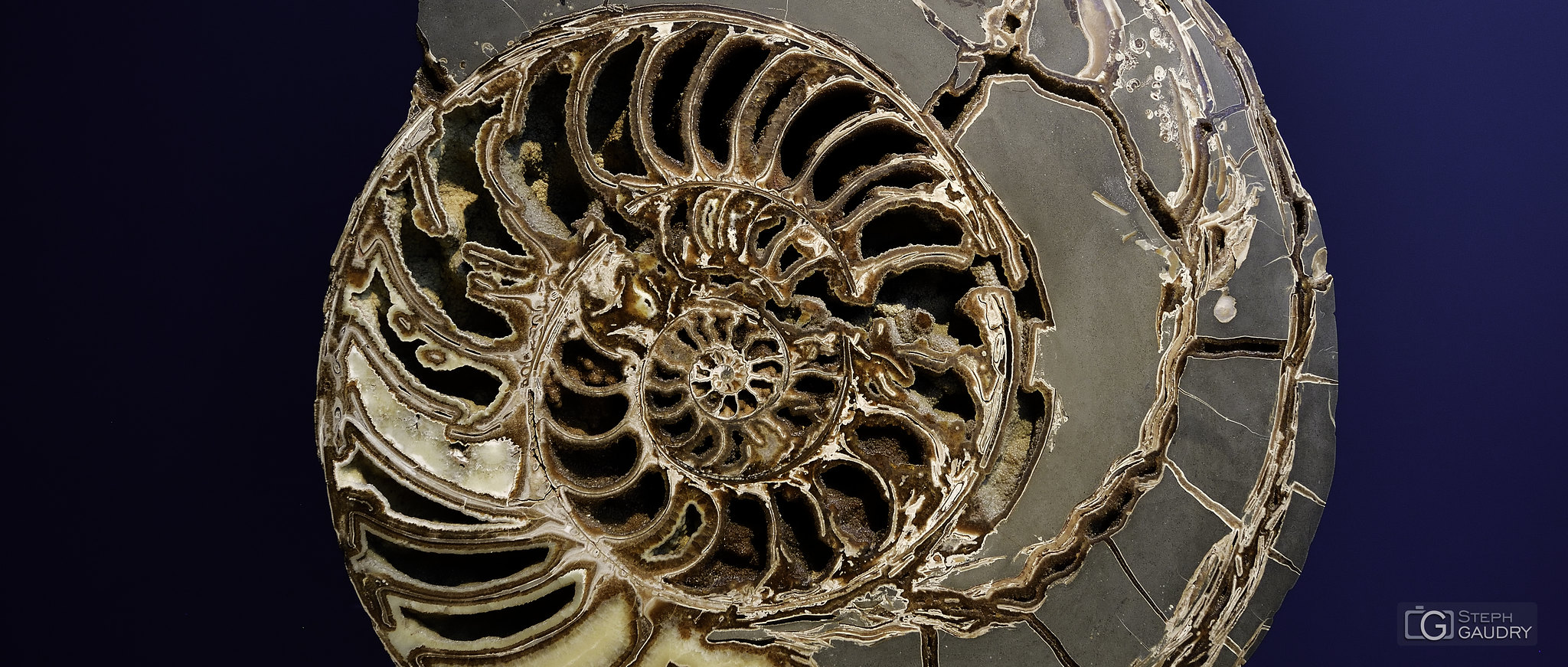 Spiral @ Natural History Museum - London [Klik om de diavoorstelling te starten]