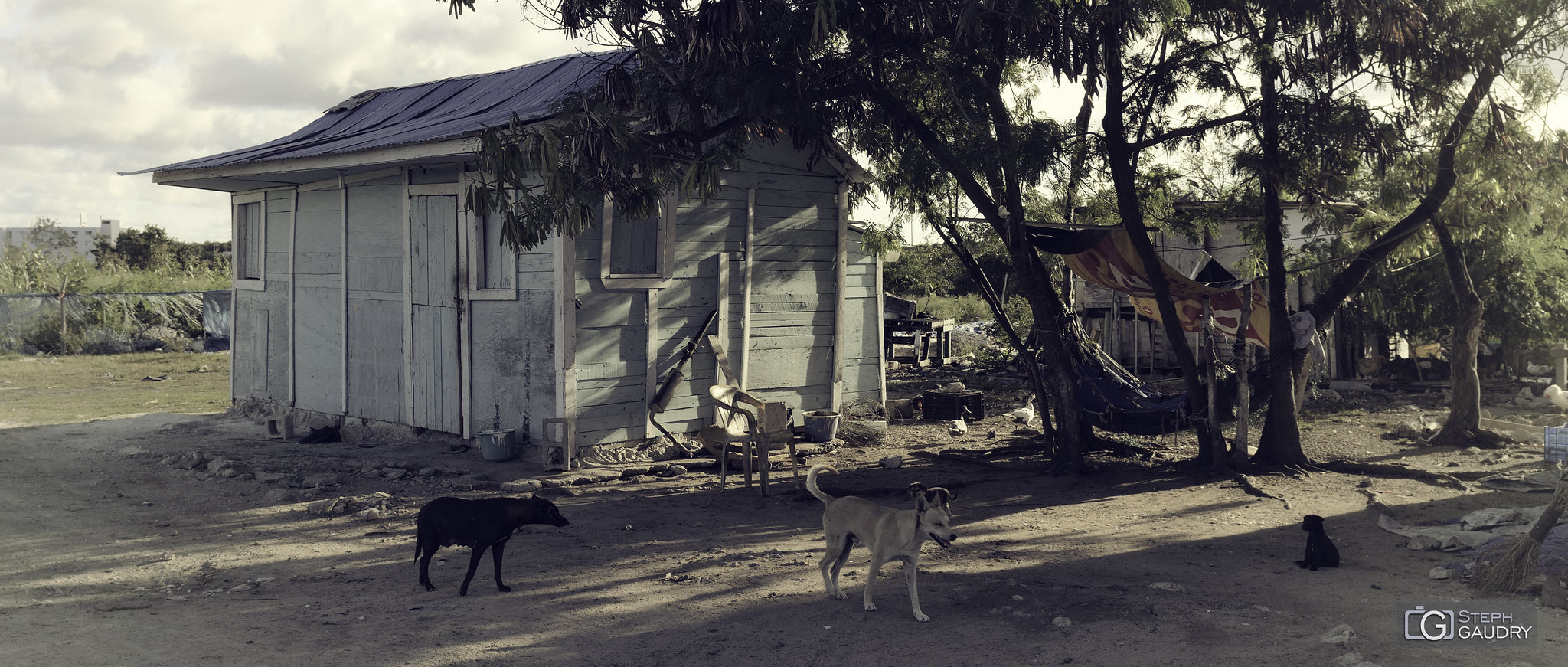 Un hamac à l'ombre aux Caraïbes [Click to start slideshow]