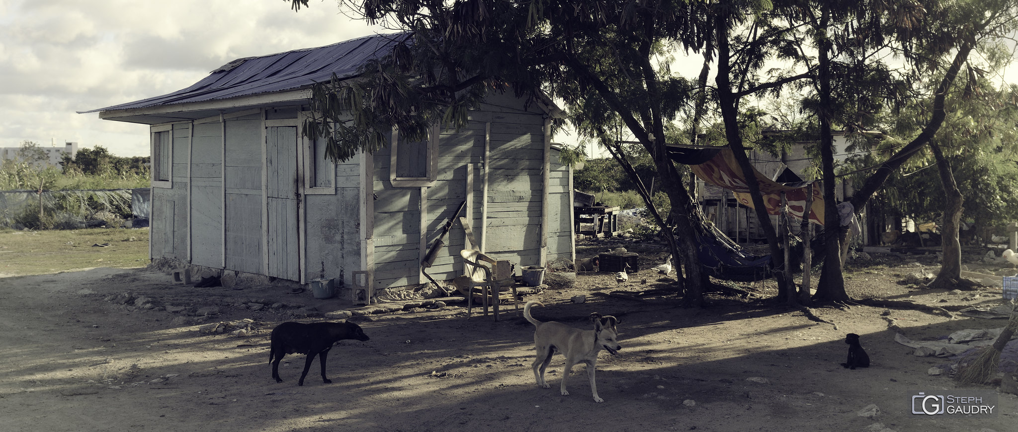 Un hamac à l'ombre aux Caraïbes [Cliquez pour lancer le diaporama]