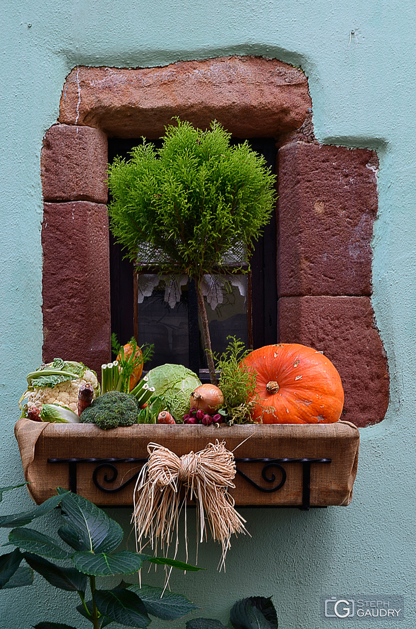 Alsace / Citrouille au balcon... 1