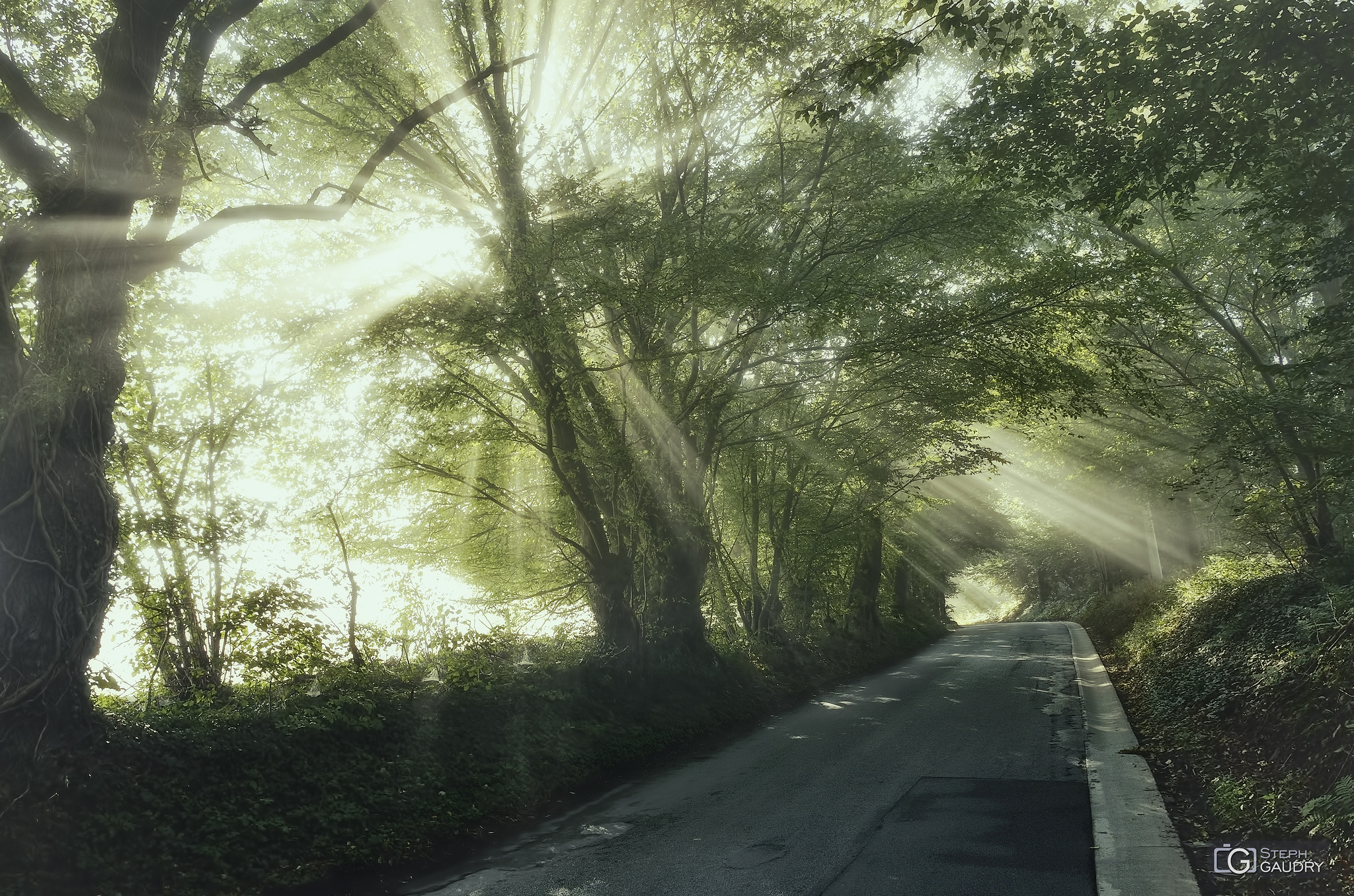 Brume matinale près de la roche aux faucons... [Klik om de diavoorstelling te starten]