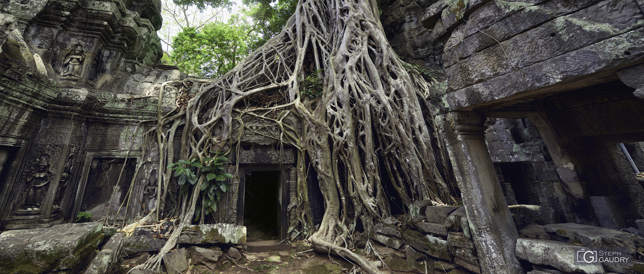 Temple de Ta Prohm [Click to start slideshow]