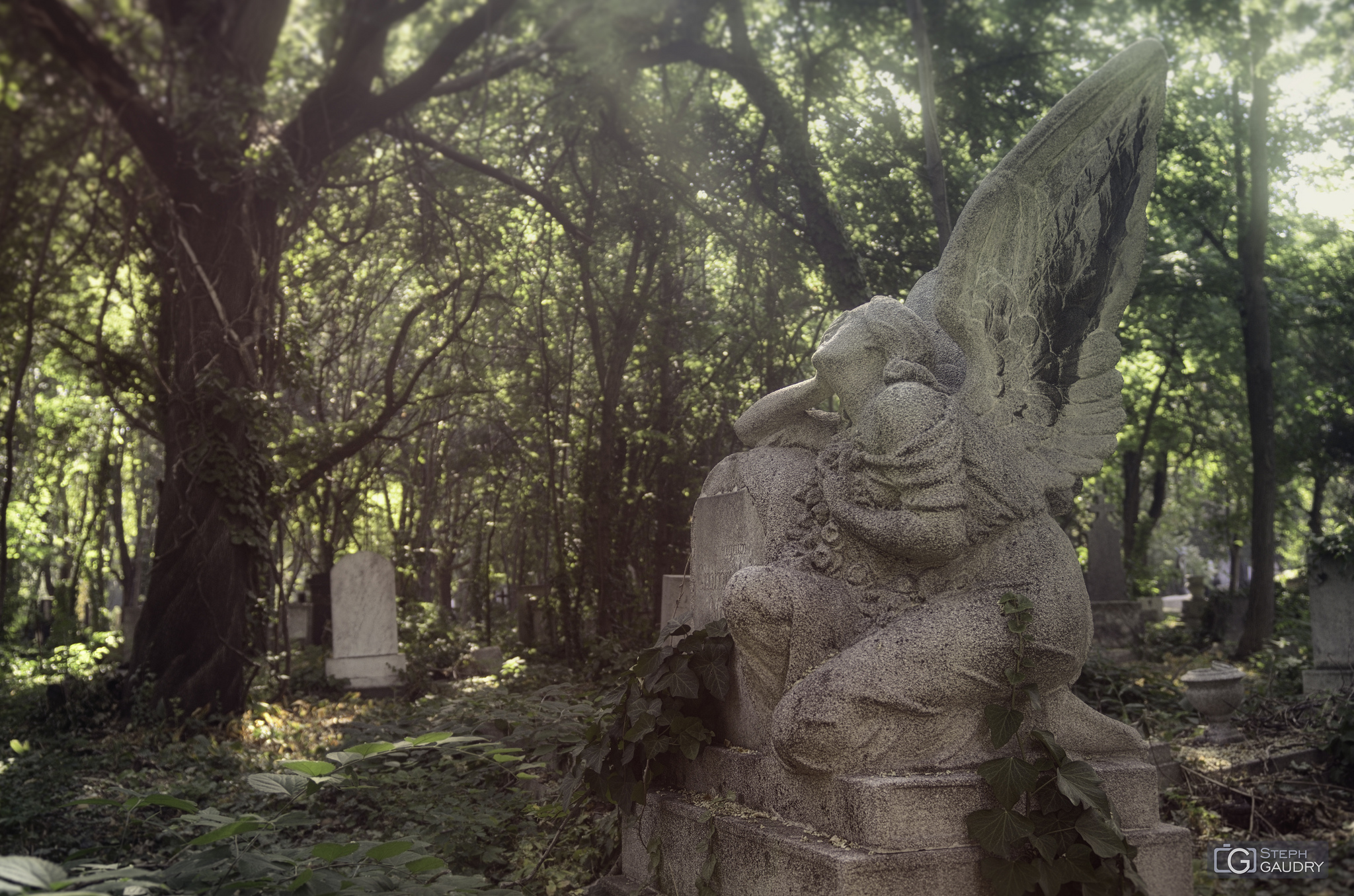 F Cemetery (HUN) - looking around the light [Click to start slideshow]