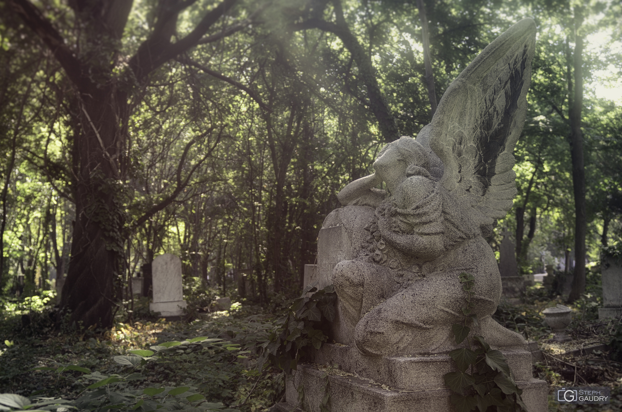 Cimetières et cryptes / F Cemetery (HUN) - looking around the light