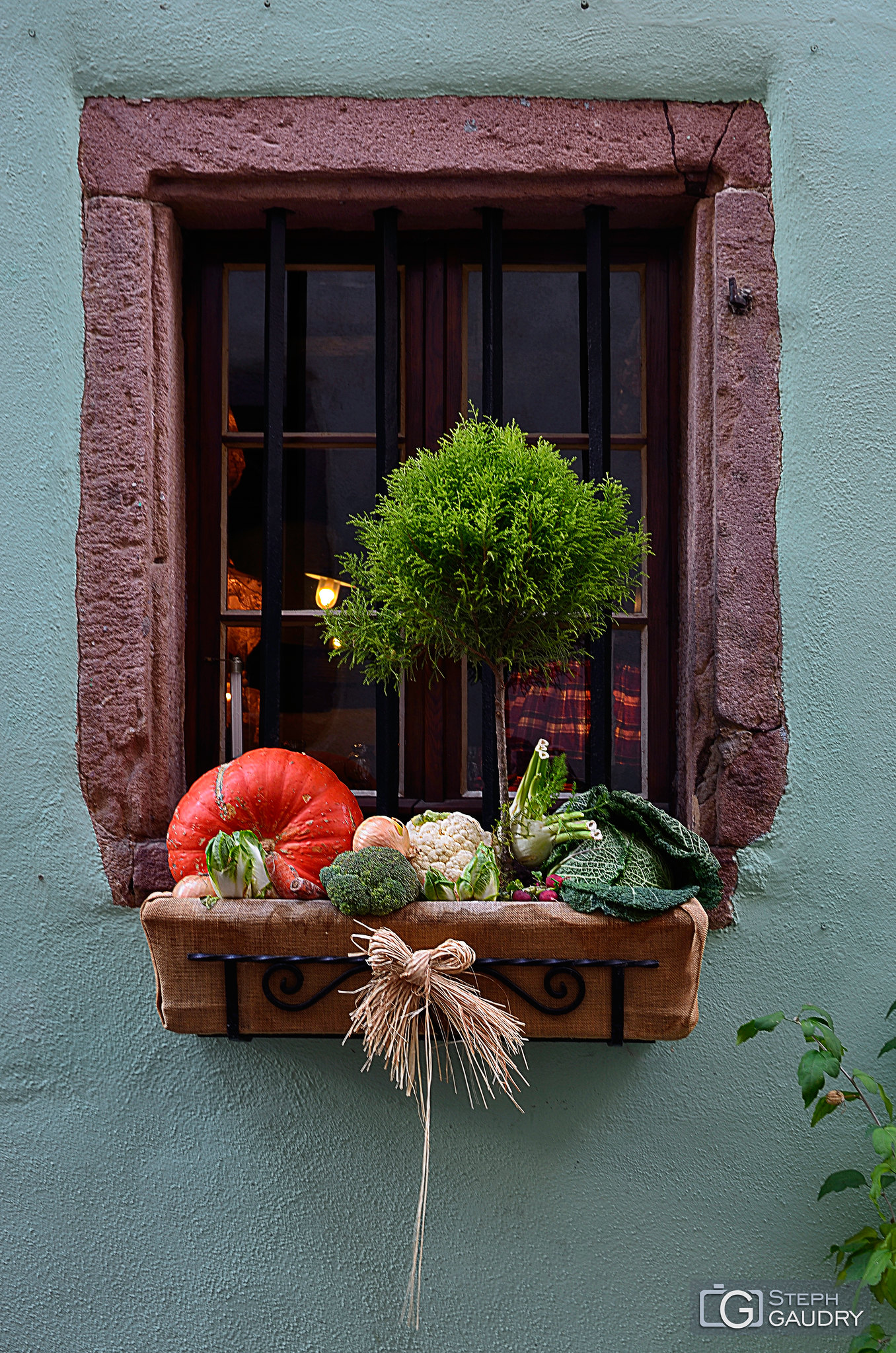 Citrouille au balcon... 3 [Klicken Sie hier, um die Diashow zu starten]