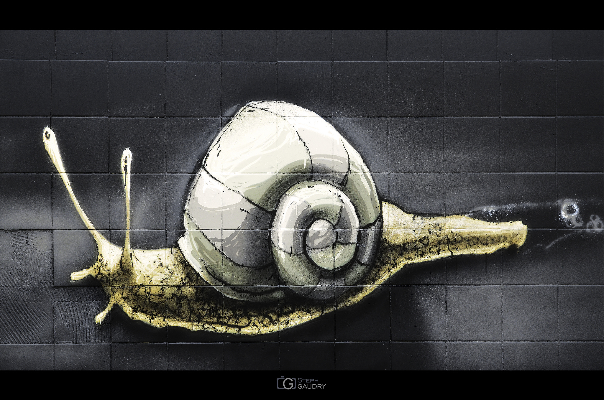 L'escargot fait le mur...