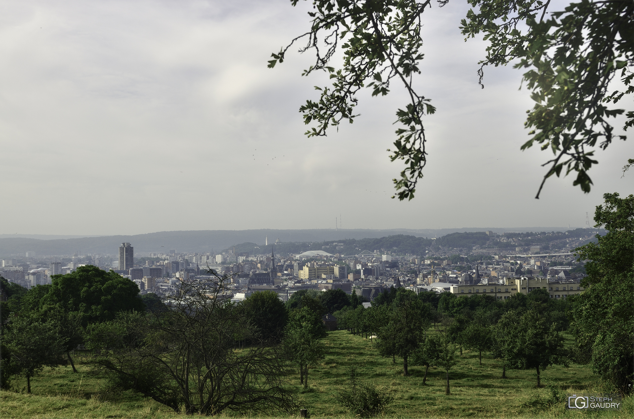 Liège, les vergers [Cliquez pour lancer le diaporama]