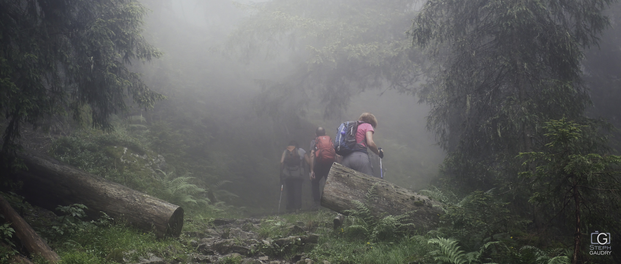 Mist expedition 2015