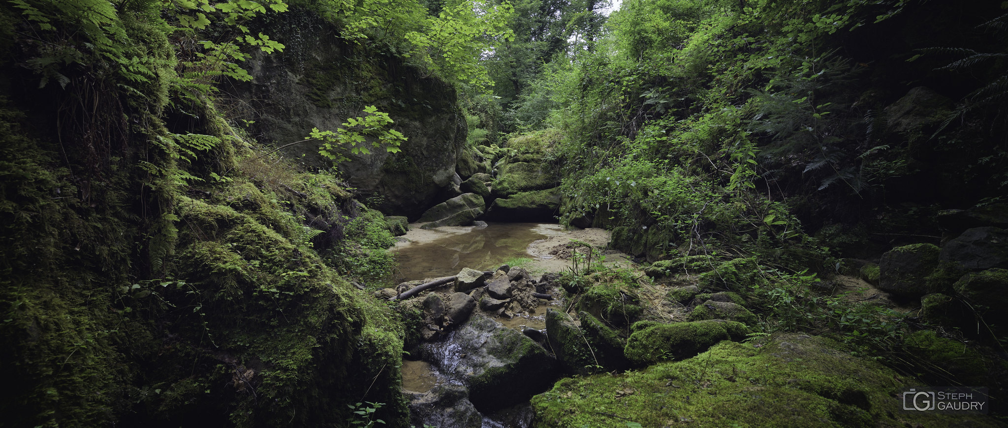 Mullerthal trail (LUX) / Berdorf - Mullerthal trail