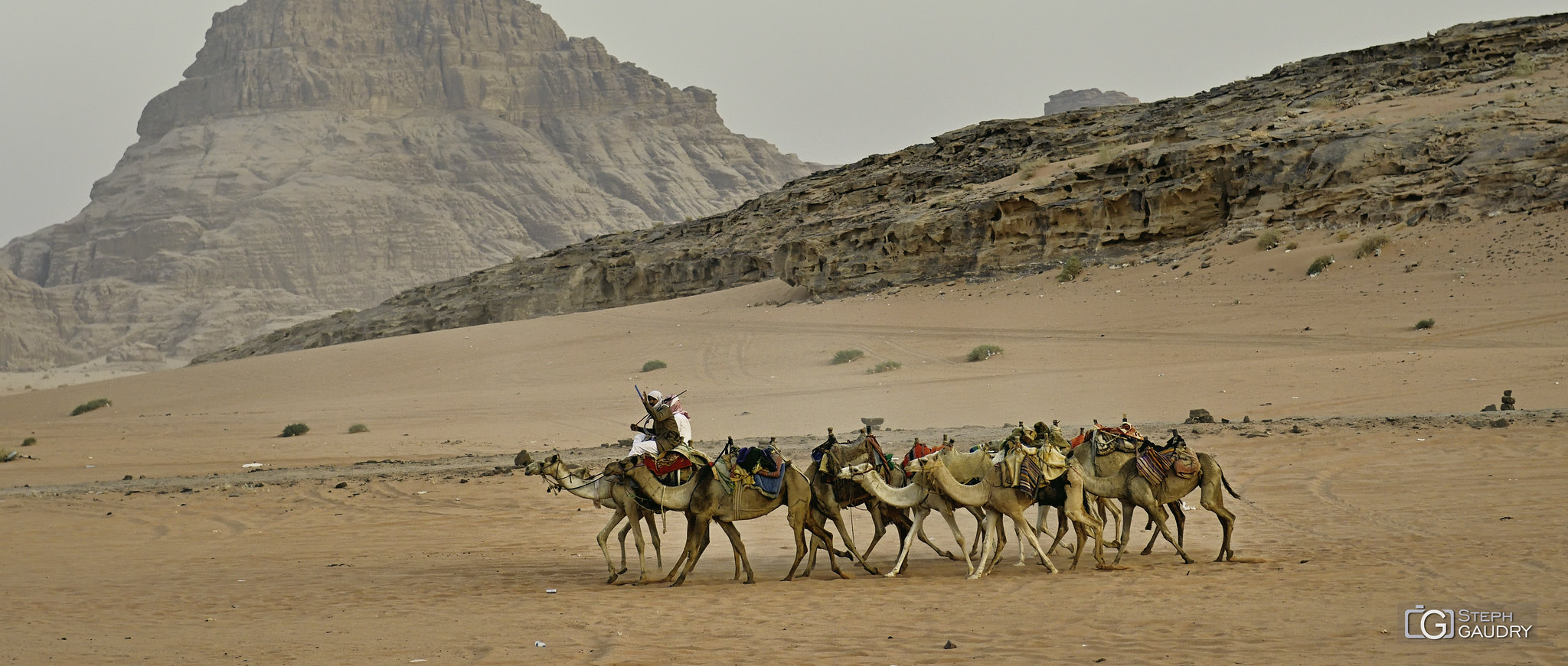 Ma sélection / Le retour de la caravane le soir dans le Wadi-Rum...
