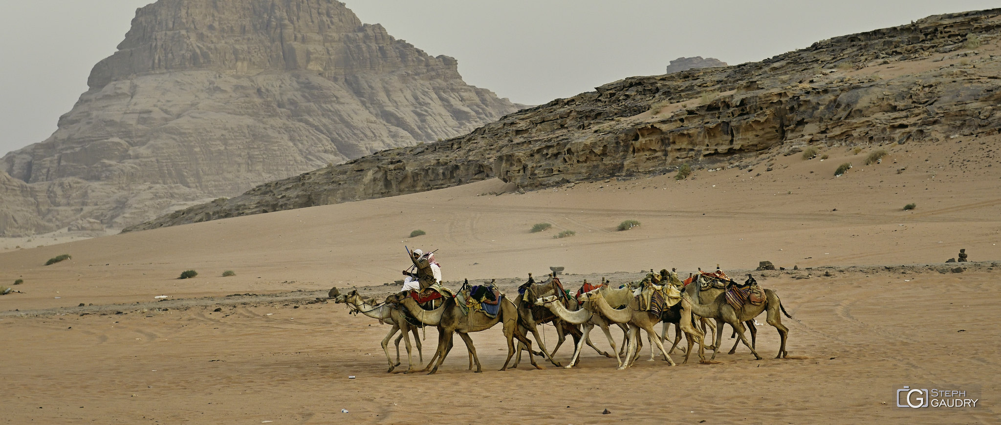 Le retour de la caravane le soir dans le Wadi-Rum... [Cliquez pour lancer le diaporama]