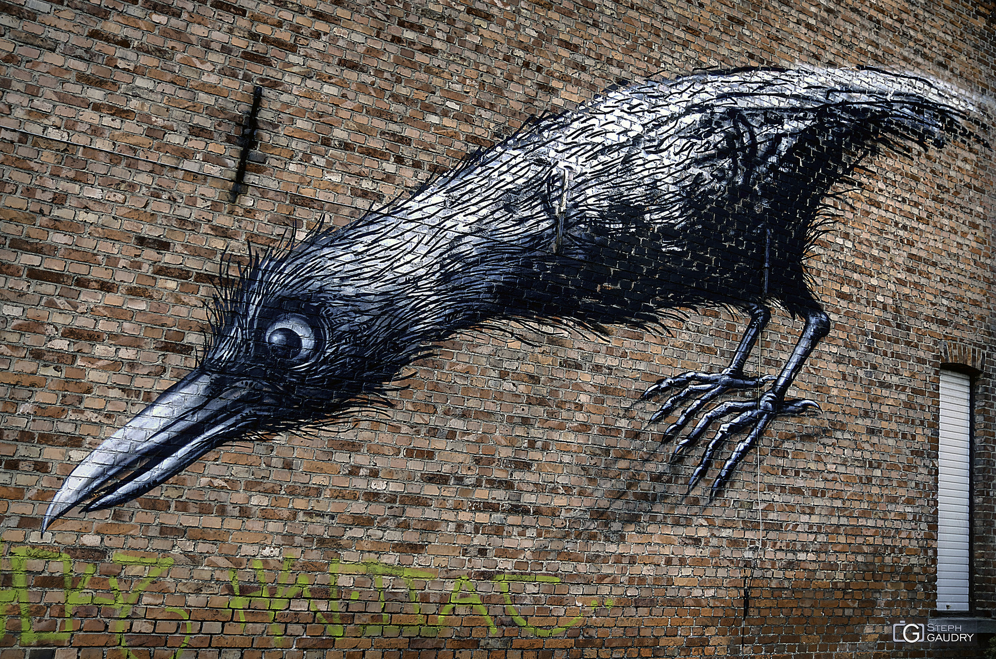 Fresques et graffiti / Doel, Bird by Roa