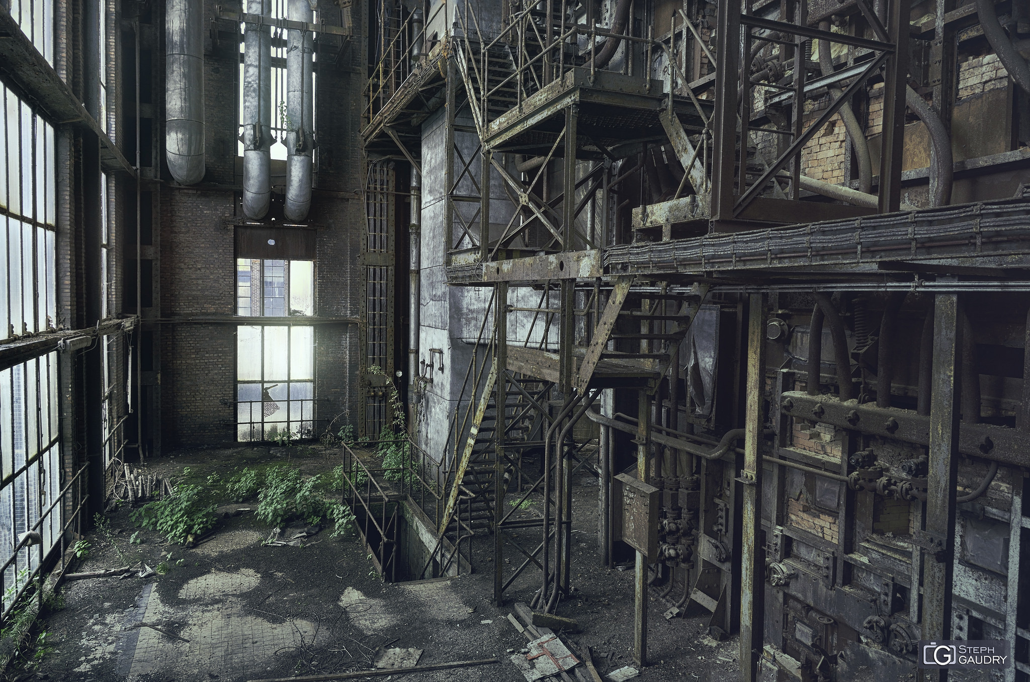 Resident Evil: les herbes vertes [Click to start slideshow]