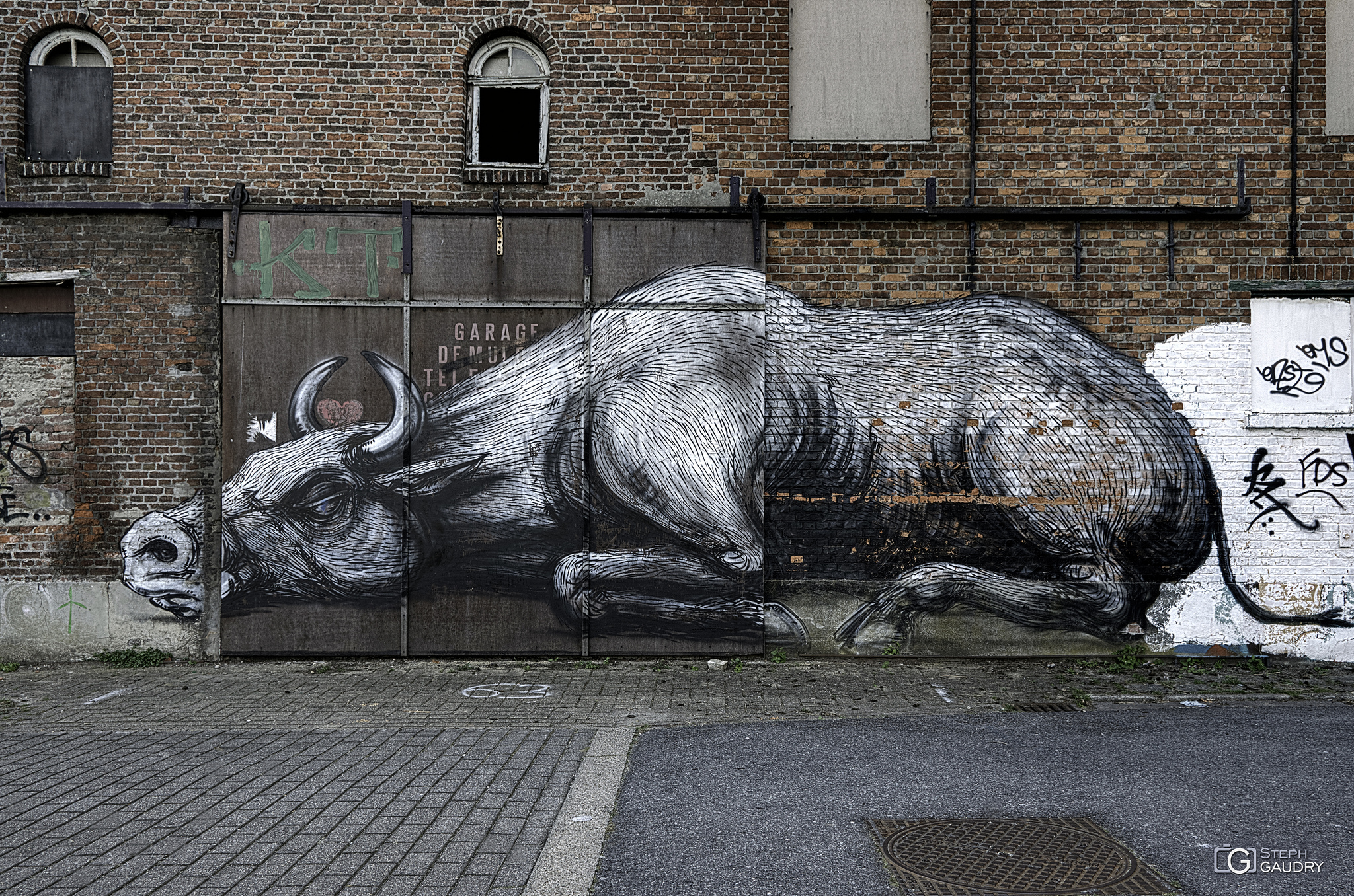 Fresques et graffiti / Doel,  cattle by Roa