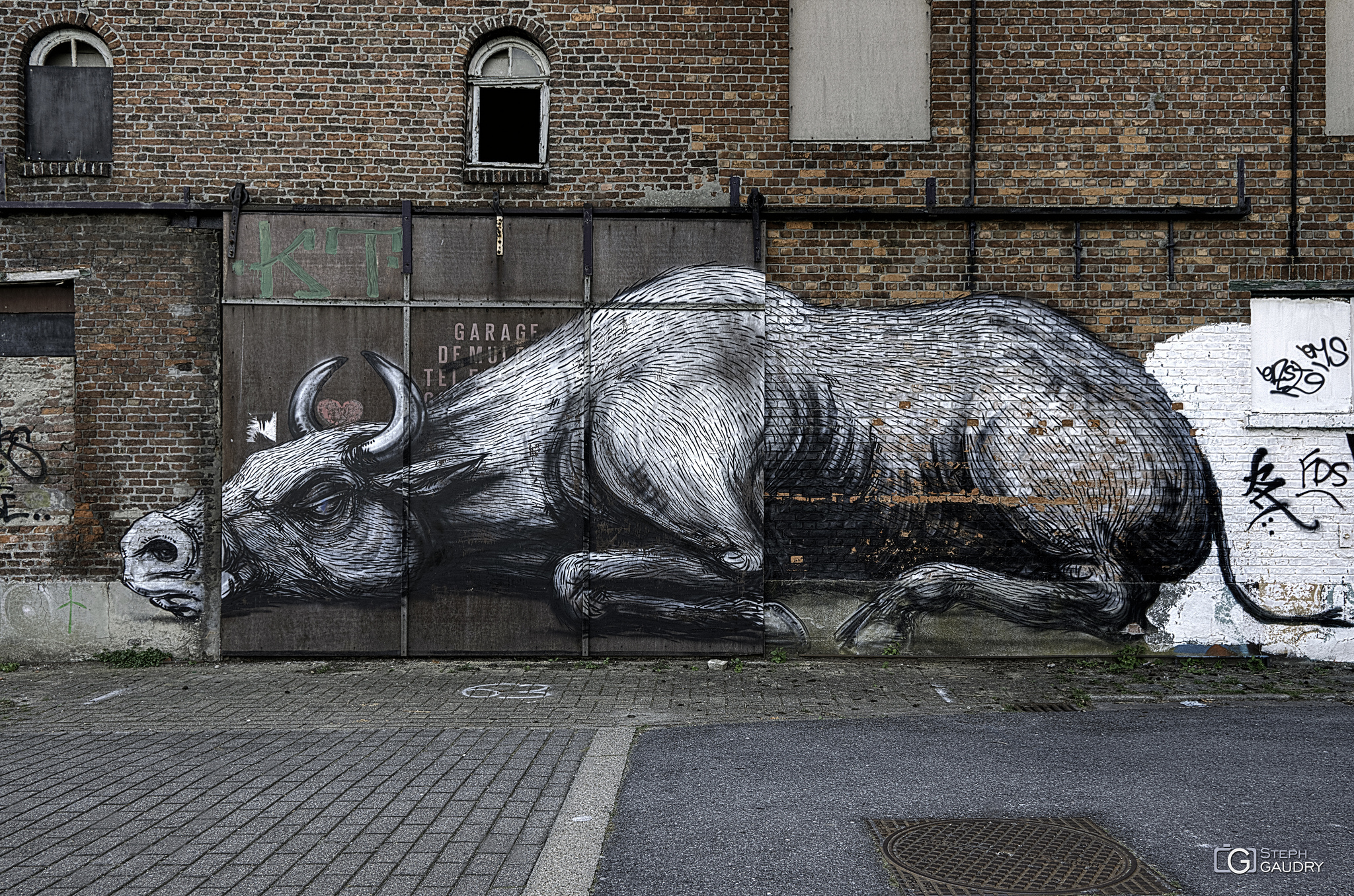 Doel,  cattle by Roa [Cliquez pour lancer le diaporama]