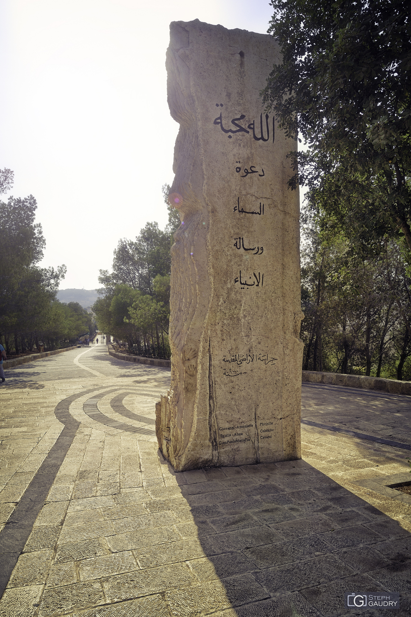 Jordanie / Mont Nébo (JOR) 