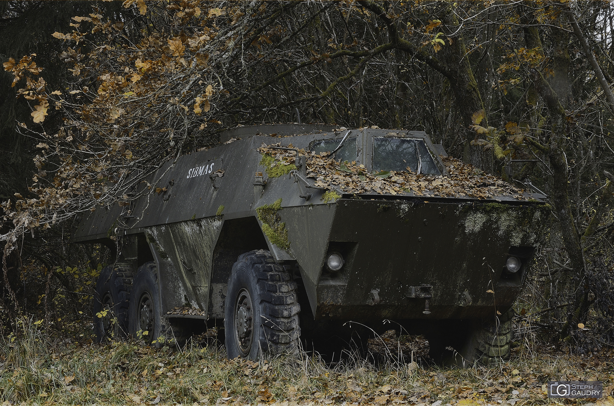 Vehicle graveyard in the woods : armoured fighting vehicle [Klik om de diavoorstelling te starten]