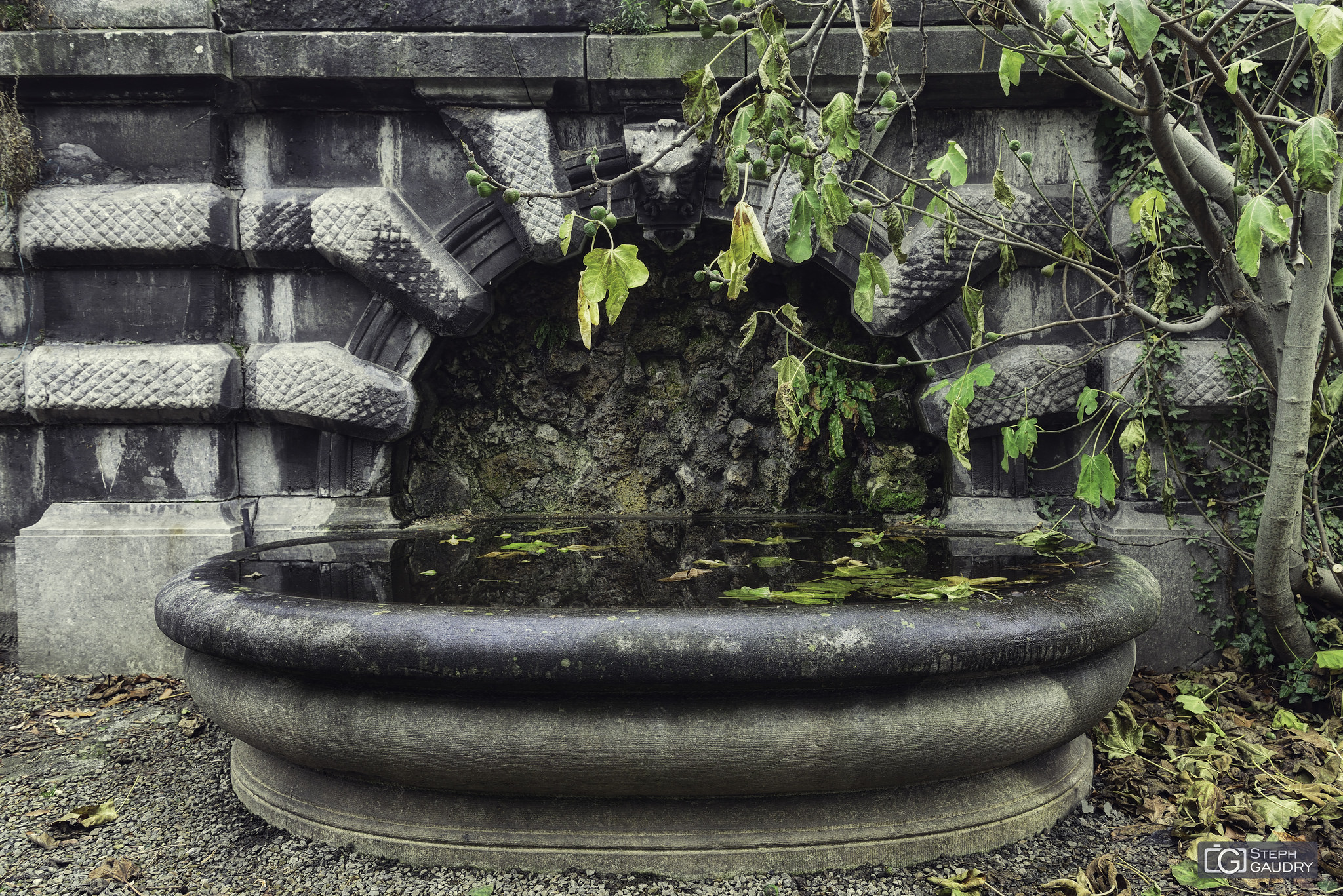 La fontaine du jardin botanique [Click to start slideshow]