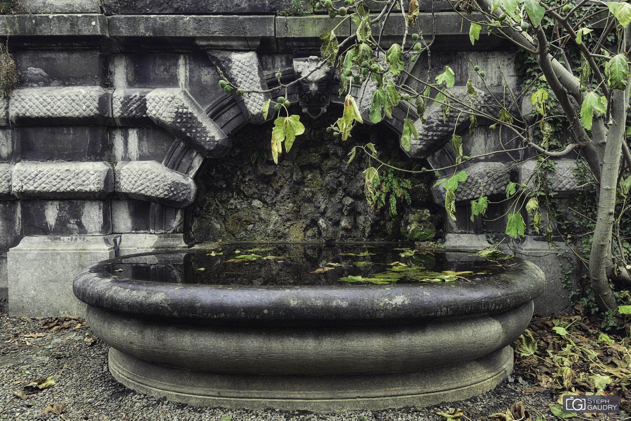 La fontaine du jardin botanique [Cliquez pour lancer le diaporama]