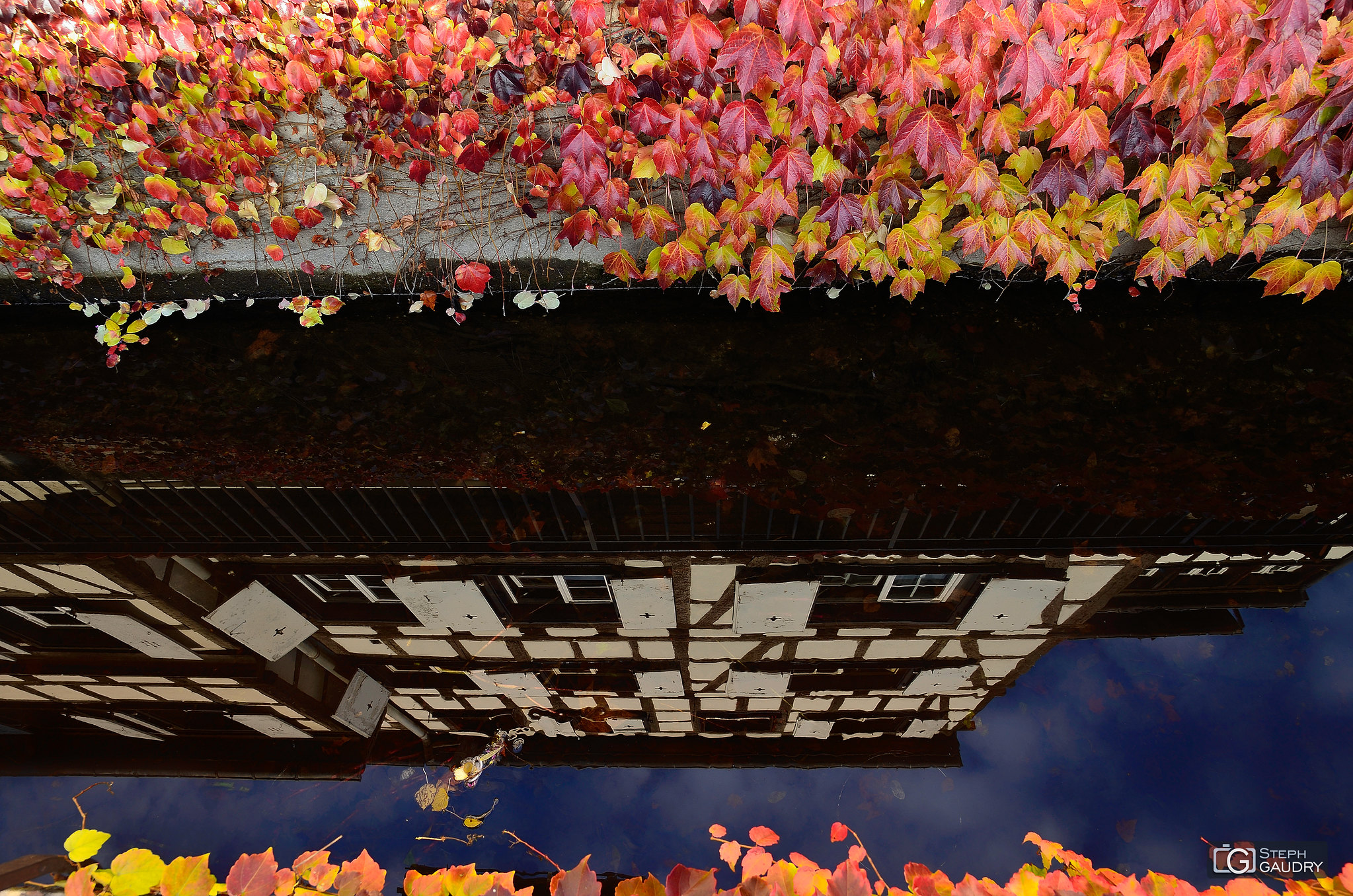 L'automne, saison de la chute des immeubles [Cliquez pour lancer le diaporama]