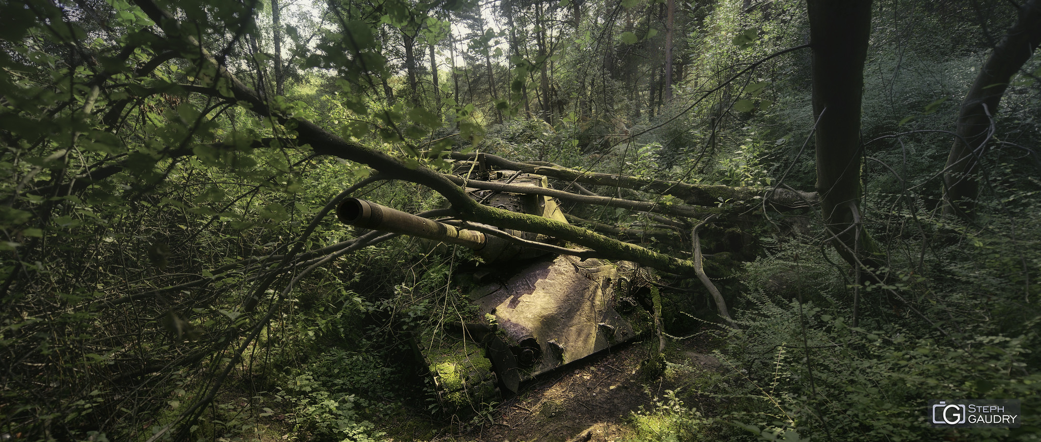 Tank abandonné dans la forêt [Klik om de diavoorstelling te starten]