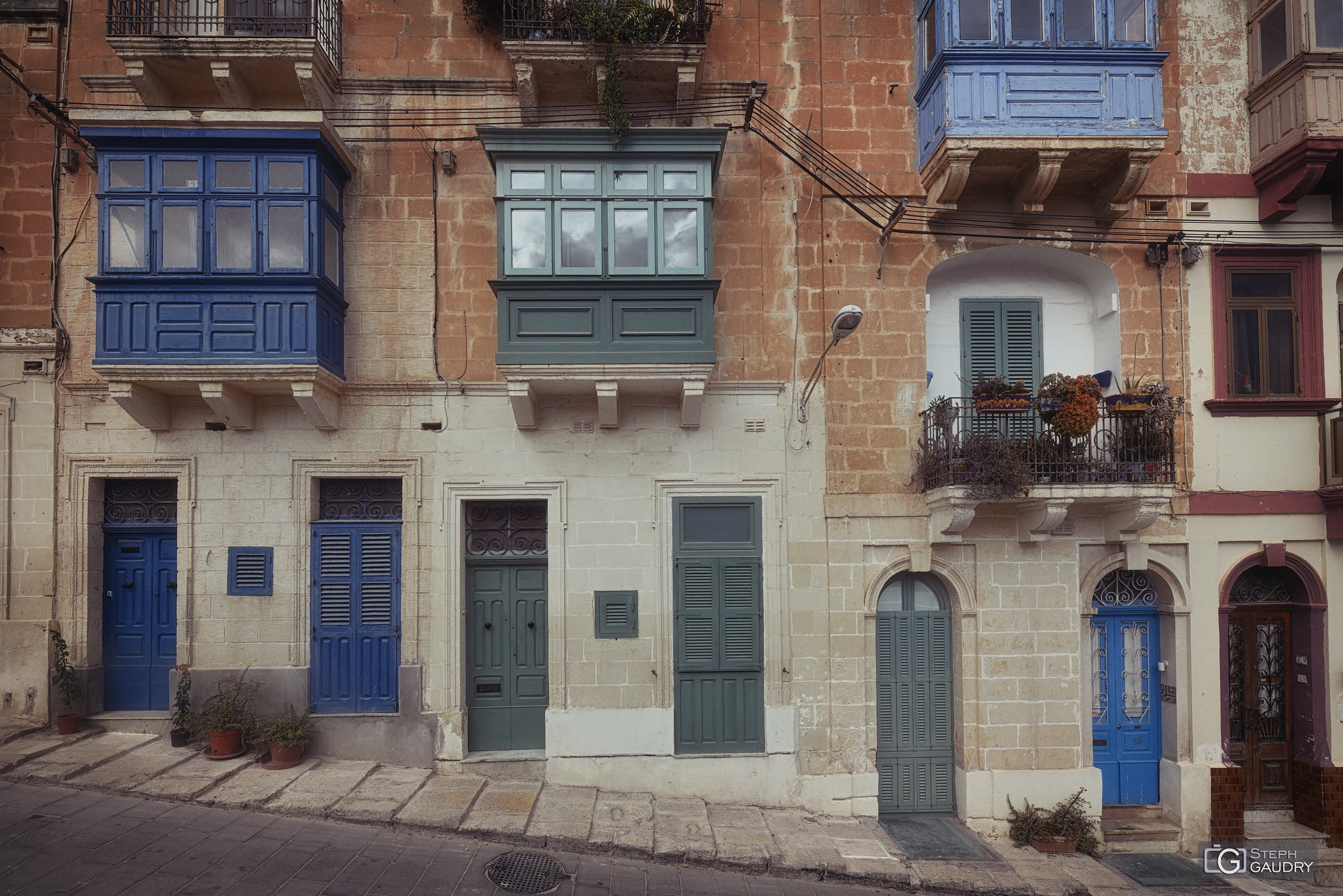 Senglea gallariji [Cliquez pour lancer le diaporama]