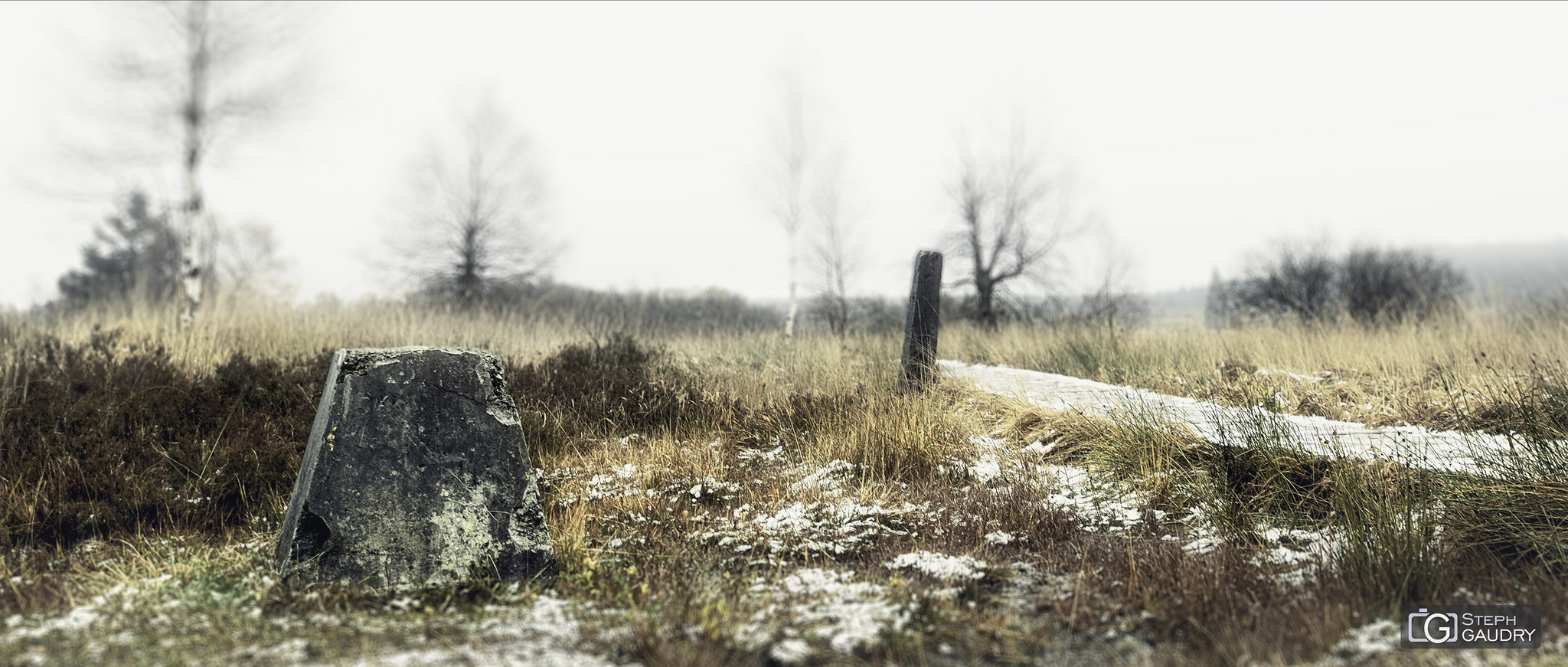 Hautes Fagnes, fin des caillebotis de la Baraque Michel [Click to start slideshow]