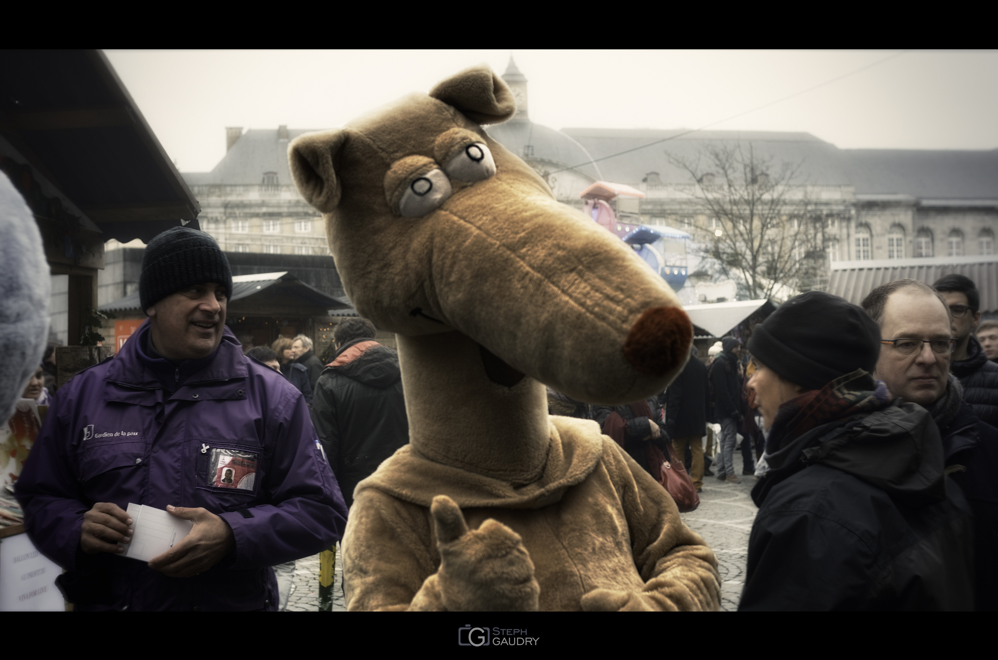 Marché de Noël 2013 [Klik om de diavoorstelling te starten]