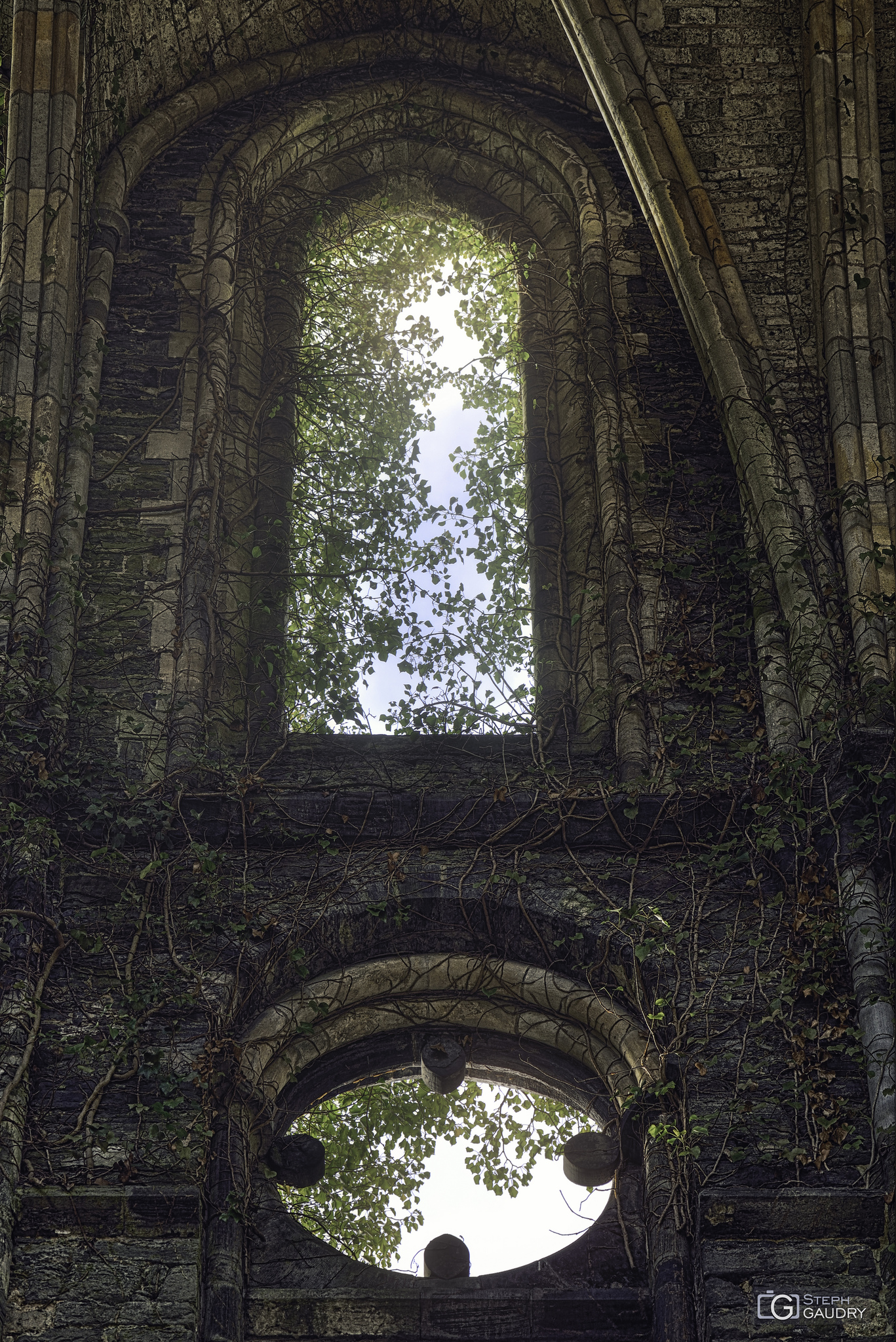 Abbaye de Villers-la-Ville / Photo 126504899126204702113008