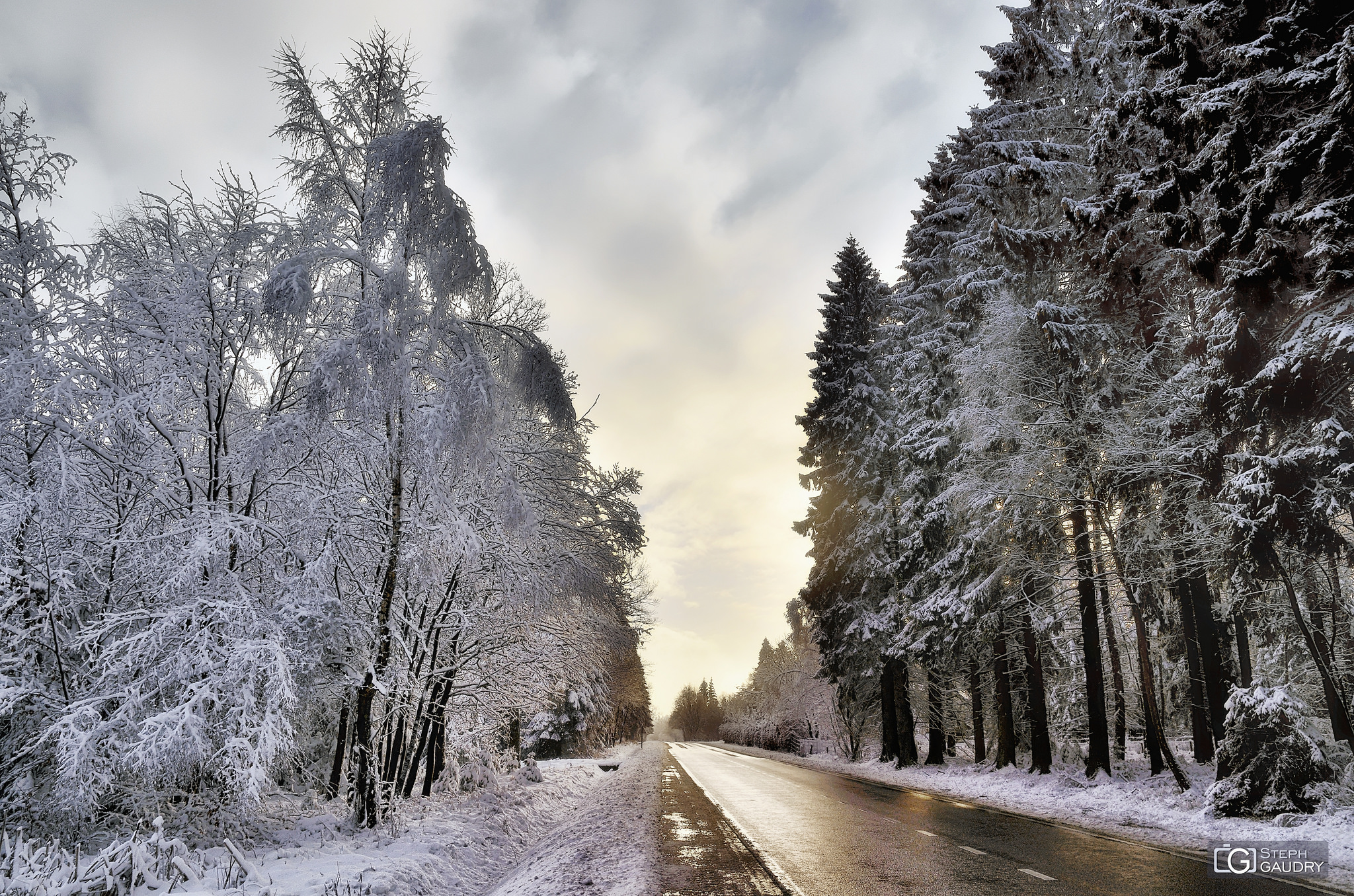 Promenades hivernales / Hautes Fagnes, entre Jalhay et Belle Croix