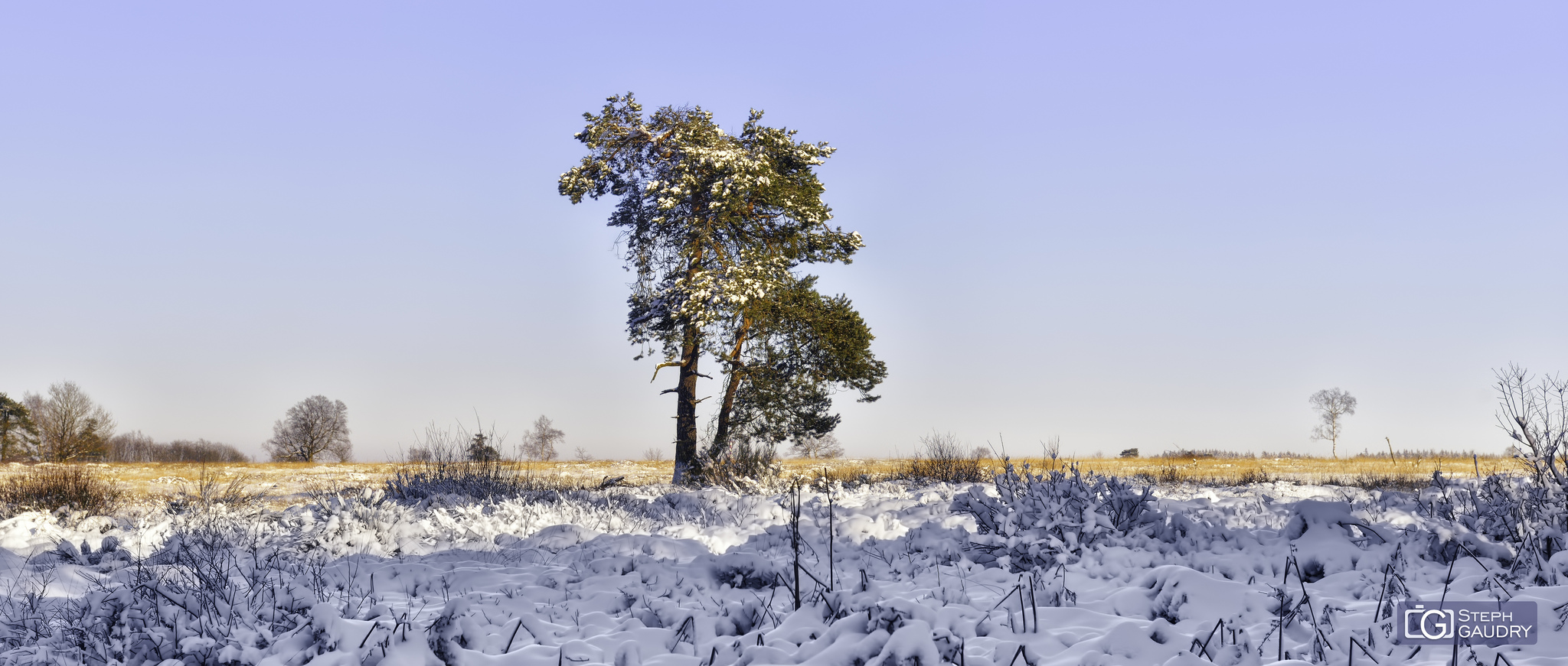 La Fagne près de Berinzenne