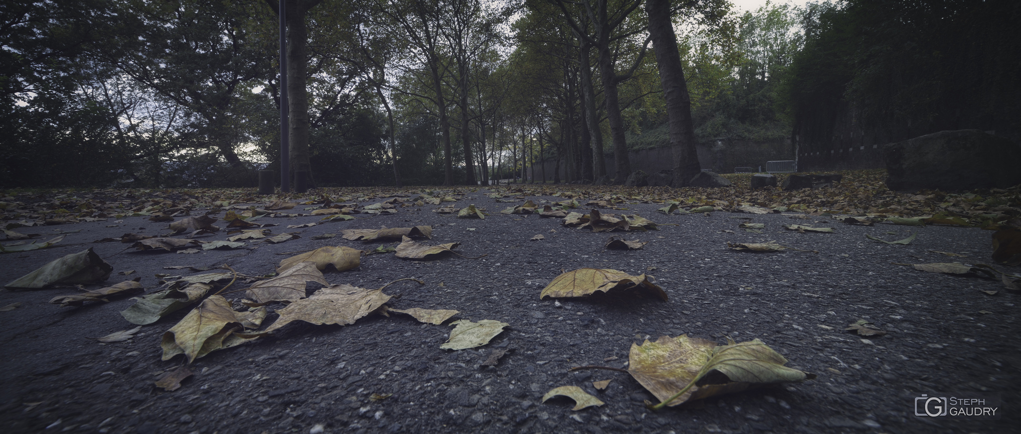 La citadelle de Liège - Automne