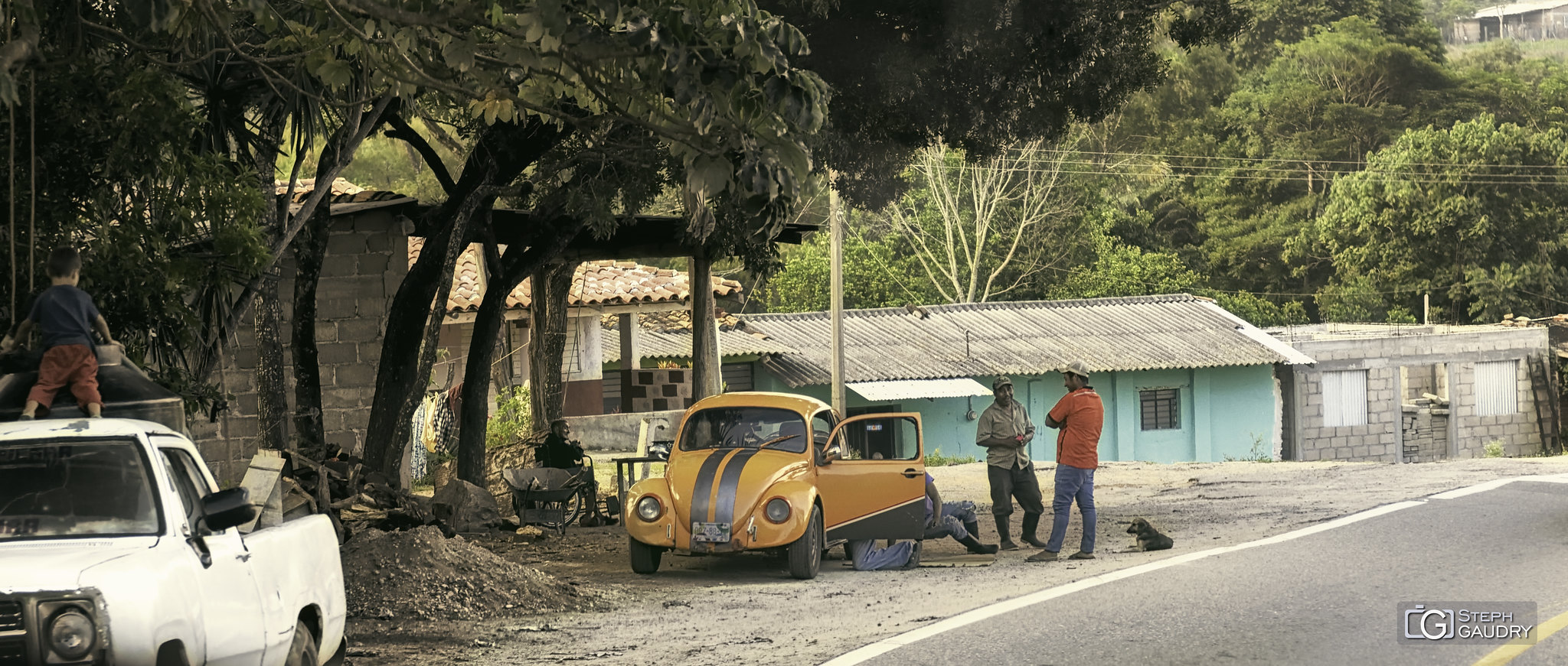 Coccinelle orange le long de la route de Desplayado (MEX) [Klik om de diavoorstelling te starten]