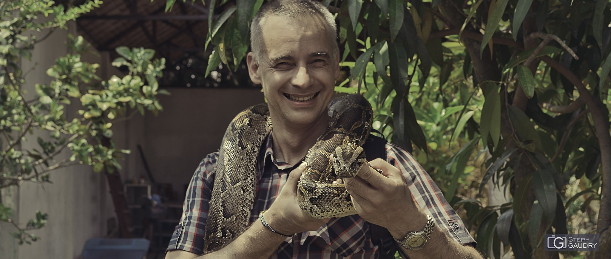Vietnam / Programmeur python