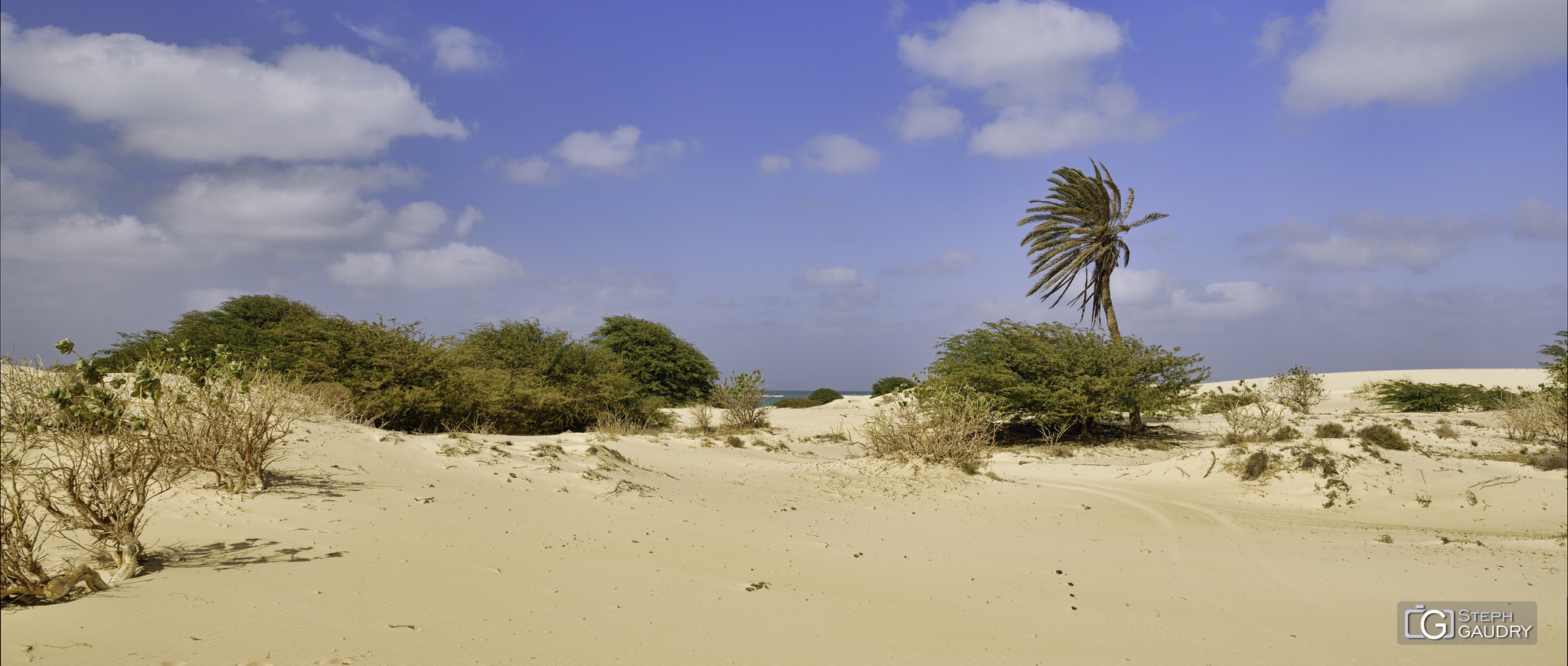 Une plage de rêve au Cap Vert [Cliquez pour lancer le diaporama]