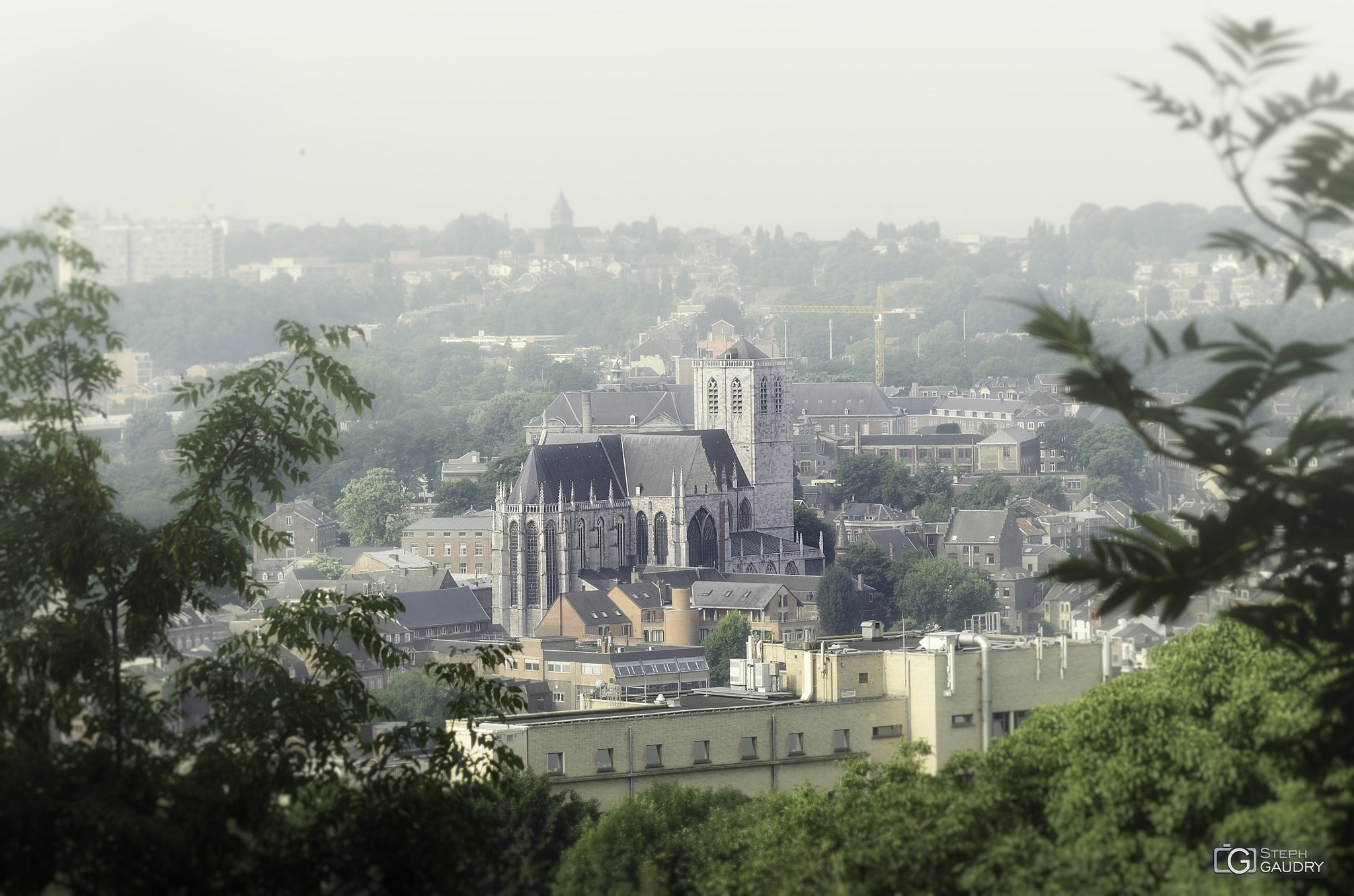 Liège, Basilique Saint-Martin [Click to start slideshow]